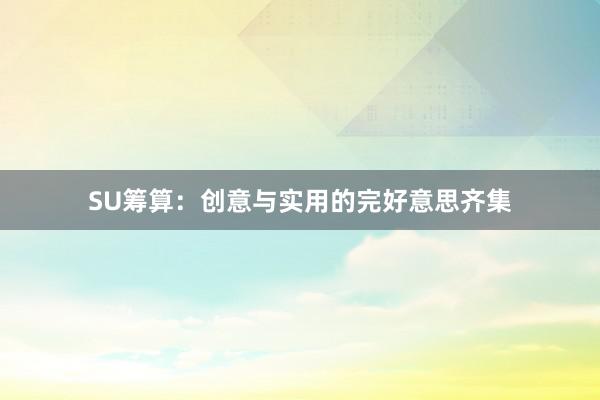 SU筹算：创意与实用的完好意思齐集