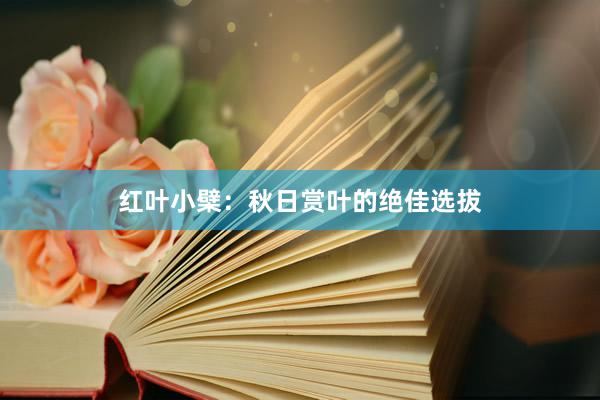红叶小檗：秋日赏叶的绝佳选拔
