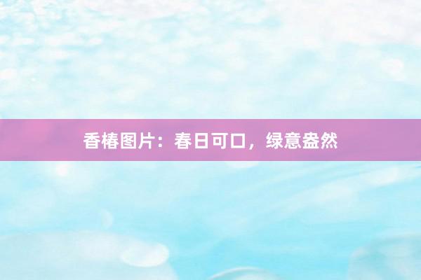香椿图片:春日可口,绿意盎然